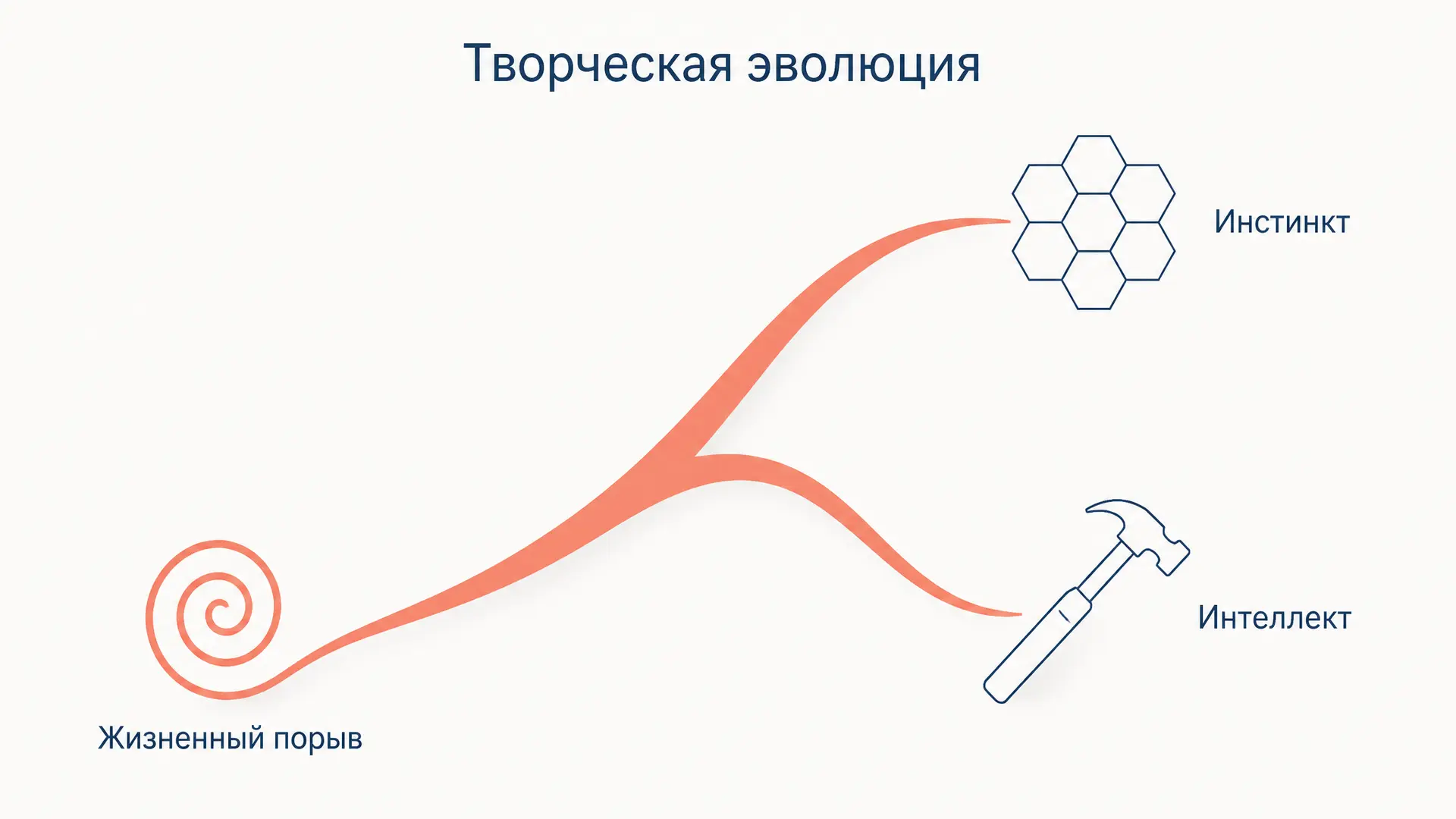 Творческая эволюция Бергсона: жизненный порыв
