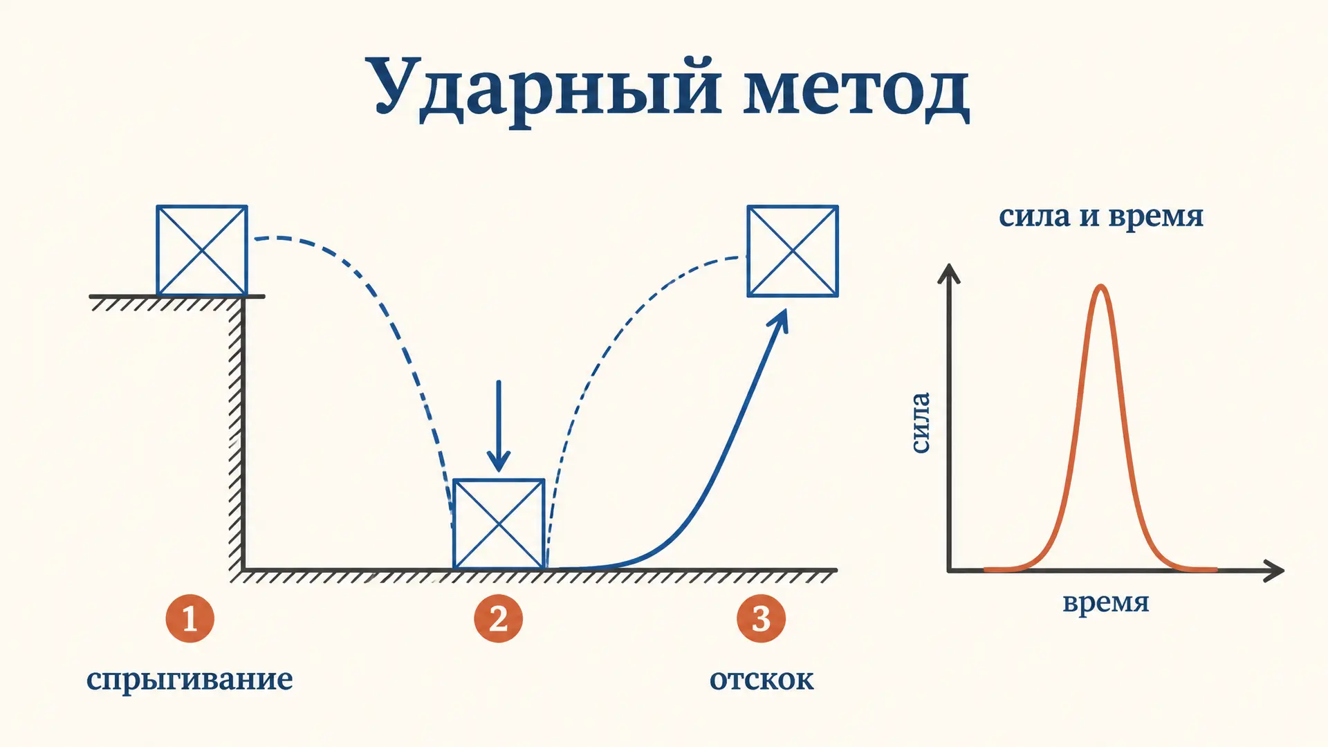 Ударный метод Верхошанского: тренировка взрывной силы
