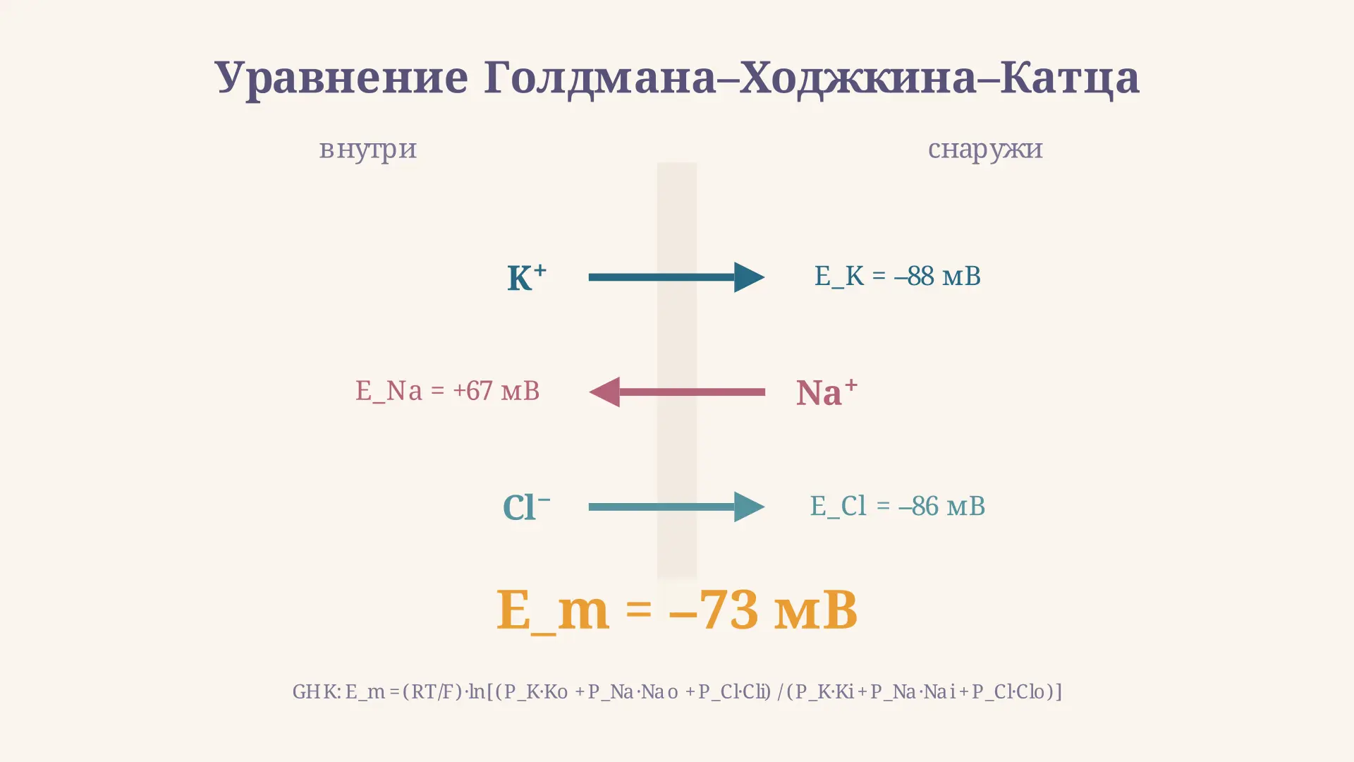 Уравнение Голдмана-Ходжкина-Катца: потенциал покоя