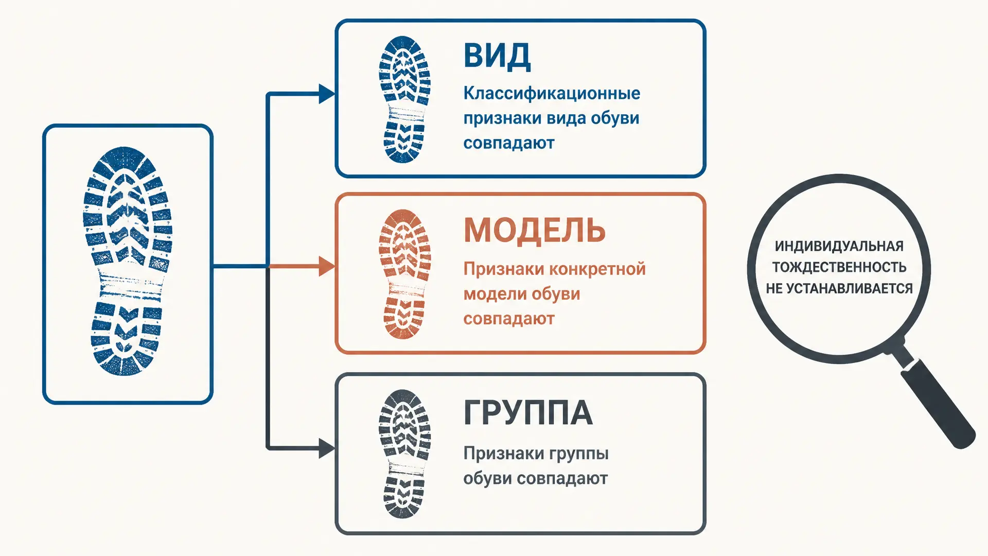 Установление групповой принадлежности: предел вывода