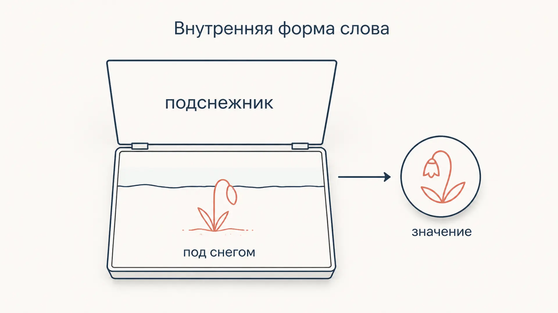 Внутренняя форма слова: признак в основе названия