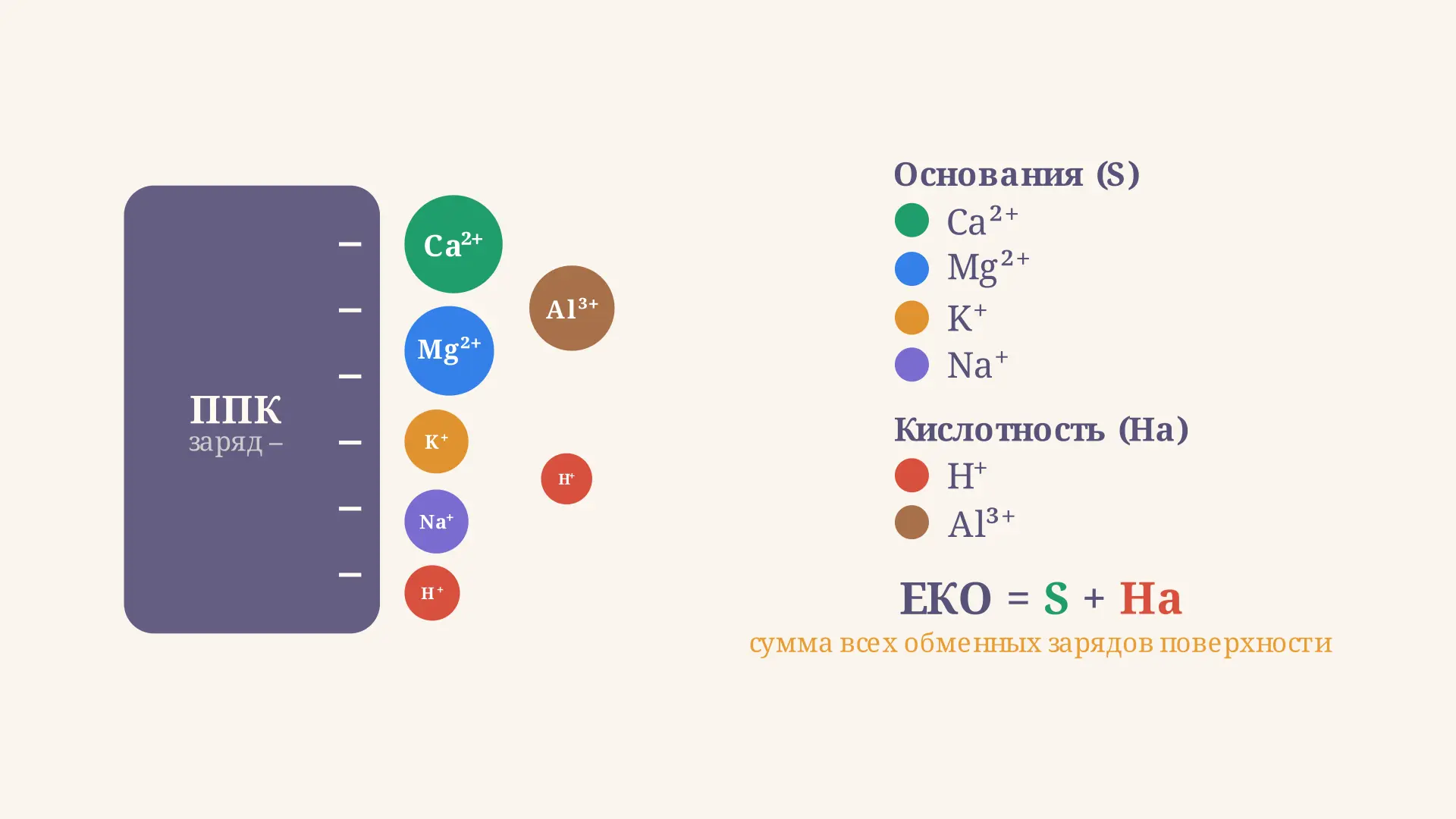 Ёмкость катионного обмена почвы: формула и расчёт ЕКО