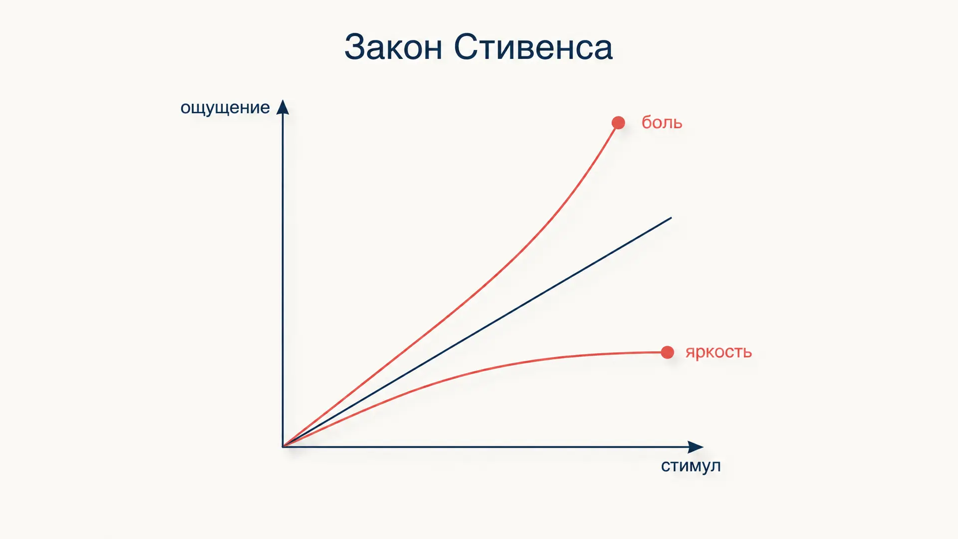 Закон Стивенса: степенная шкала ощущений
