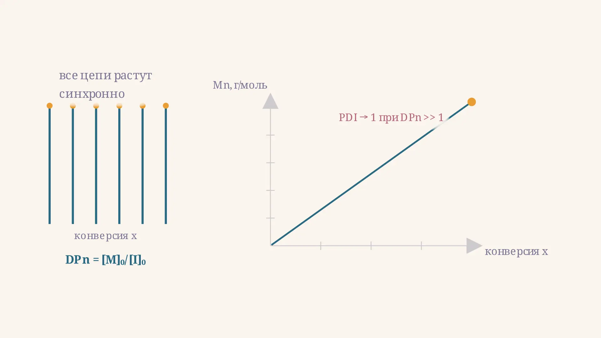 Живая полимеризация: контроль массы и узкое PDI