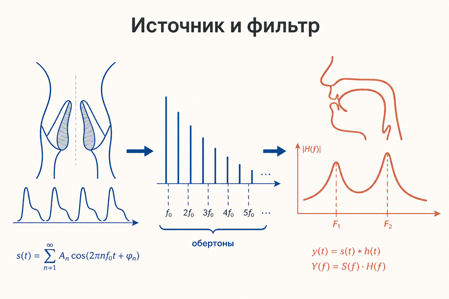 Учебная схема гласного: периодический источник, гармоники и две усиленные области спектра F1 и F2