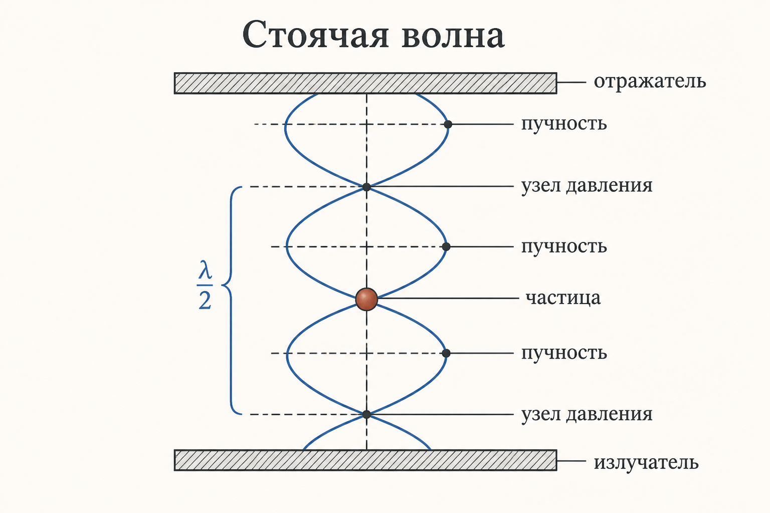 Стоячая ультразвуковая волна между излучателем и отражателем: пучности и узлы давления, частица удерживается в узле