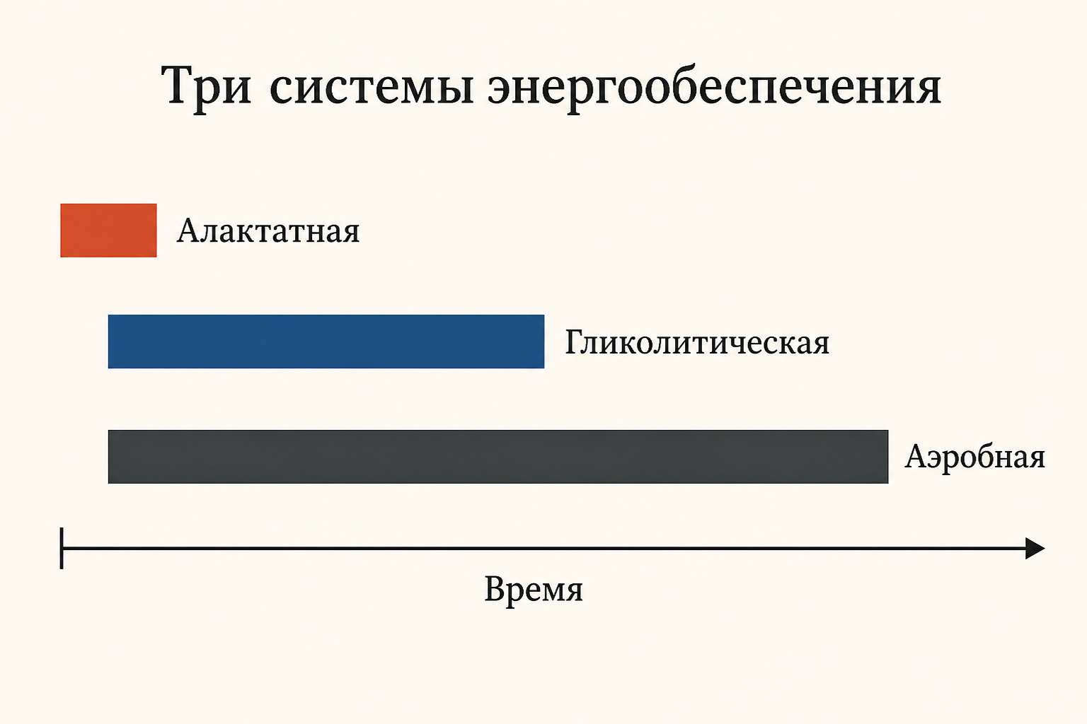 Кривая мощности от времени: алактатная система даёт острый пик в первые 0-10 секунд за счёт АТФ и креатинфосфата