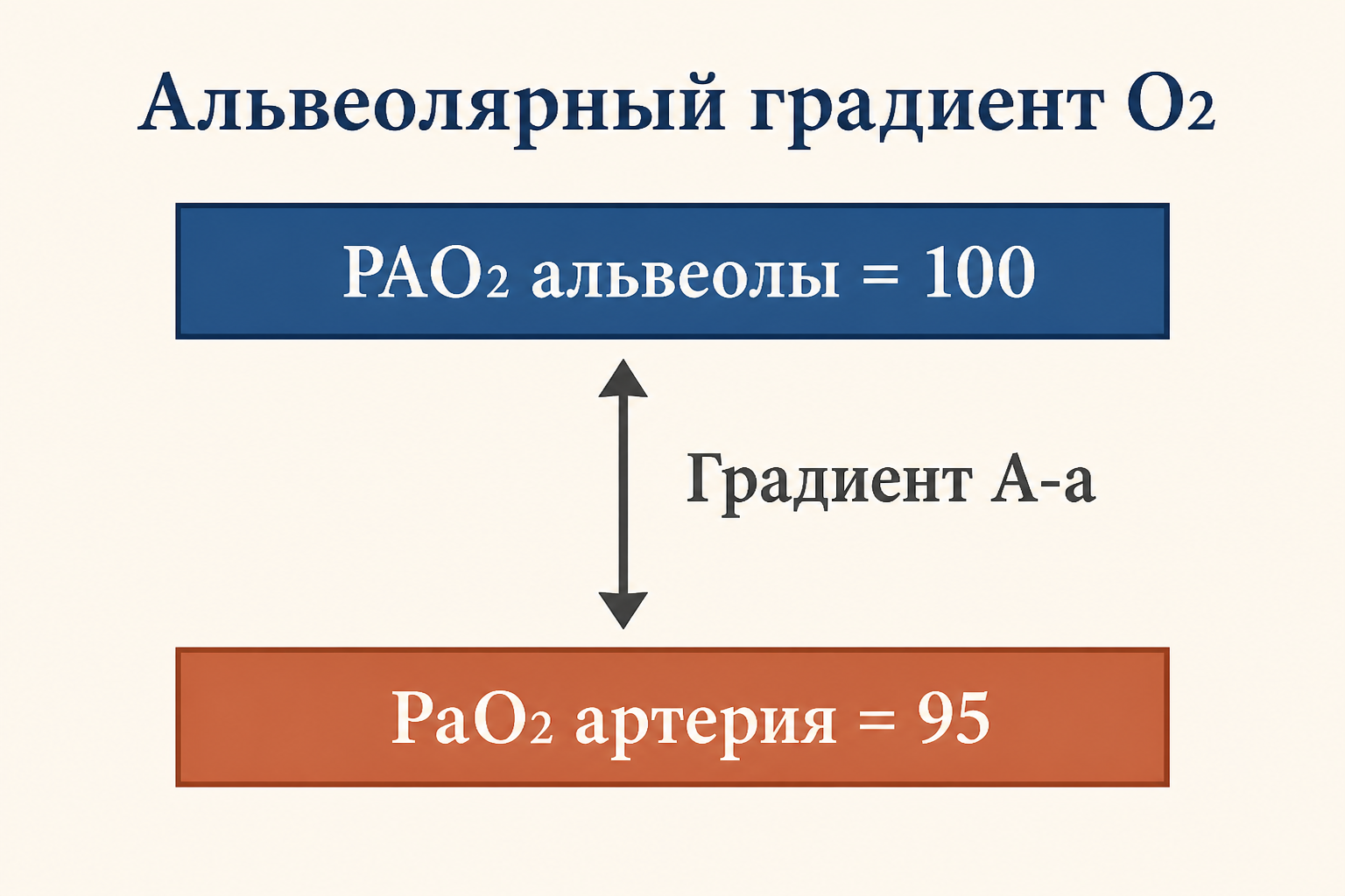 Кислородно-альвеолярный градиент: нормальное соотношение альвеолярного и артериального P(O2), увеличение градиента при шунтировании