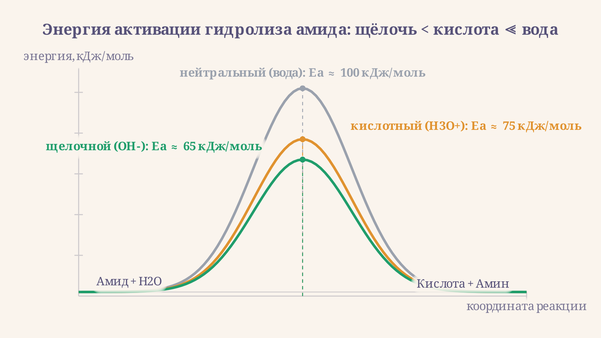 Диаграмма энергии активации гидролиза амида для трёх режимов: щелочной катализ проходит через самый низкий барьер, кислотный выше, а без катализатора барьер настолько высок, что реакция практически не идёт