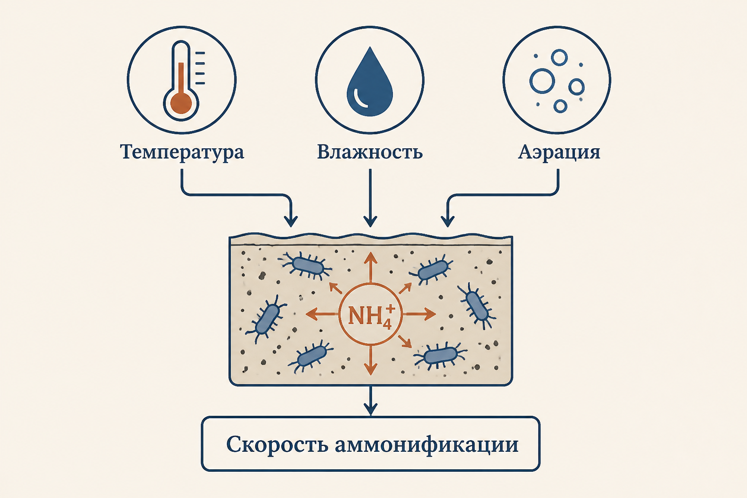 Схема аммонификации органического азота: органический азот отмерших остатков перерабатывается почвенными микроорганизмами и переходит в ион аммония