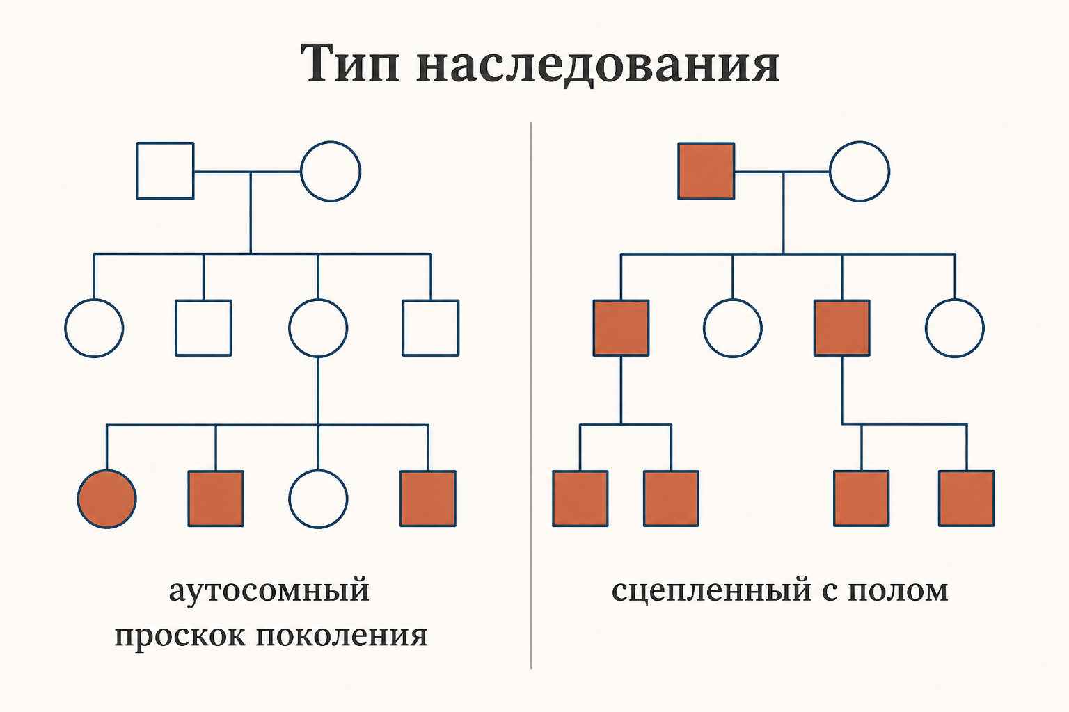 Сравнение типов наследования по родословной: слева аутосомный признак с проскоком поколения и больными обоих полов, справа сцепленный с полом признак, при котором болеют почти только мужчины, а передаётся через здоровых дочерей