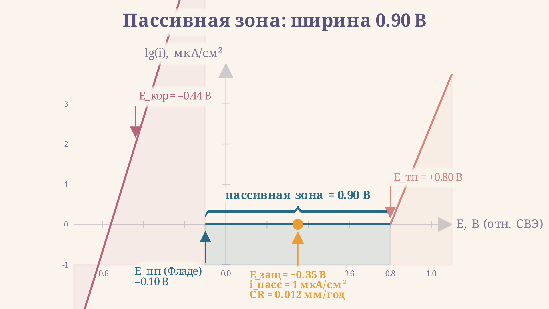 Поляризационная кривая стали с обозначенными потенциалами: E_кор, E_пп (Фладе), E_тп и рабочим потенциалом анодной защиты в середине пассивного плато