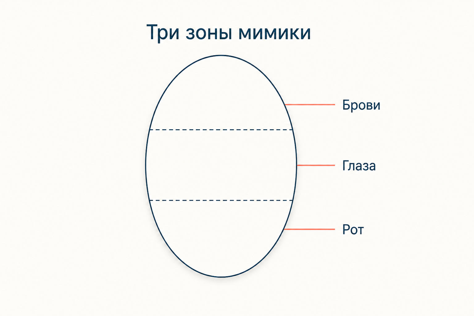 Схема из трёх зон лица, по которым различают базовые эмоции: брови, глаза, рот