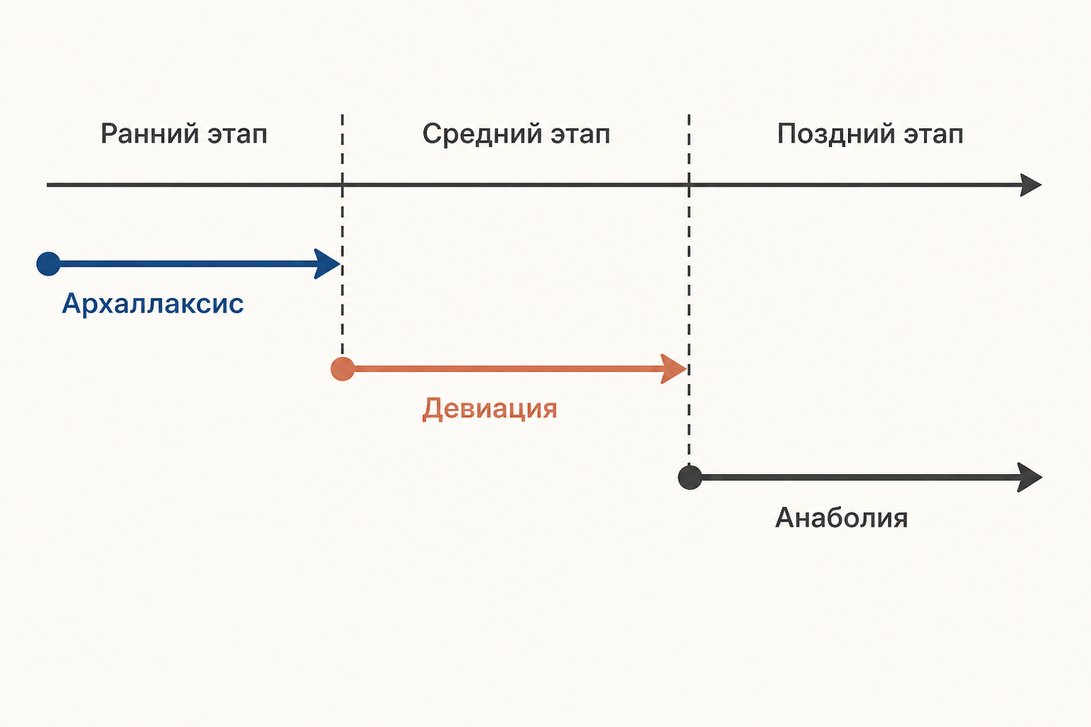 Временная шкала развития с тремя местами эволюционных изменений: архаллаксис, девиация и анаболия