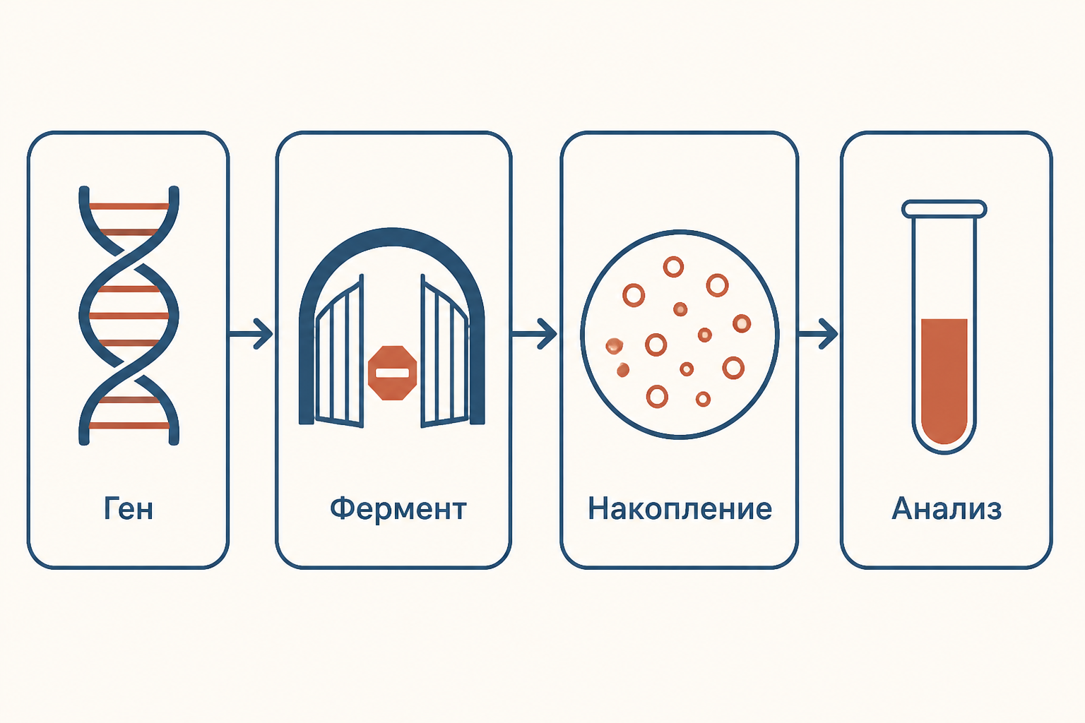 Схема пути от гена к измеряемому метаболиту