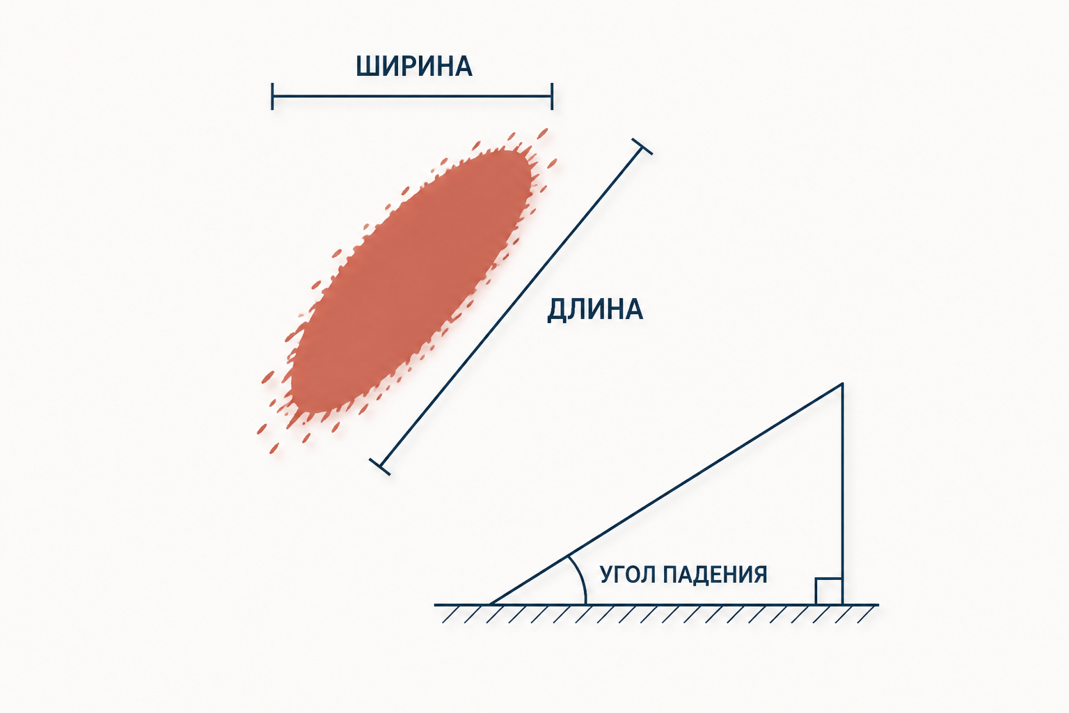 Схема измерения ширины и длины пятна крови для оценки угла