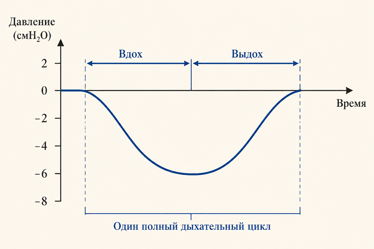 Изменение давления в плевральной полости при дыхании