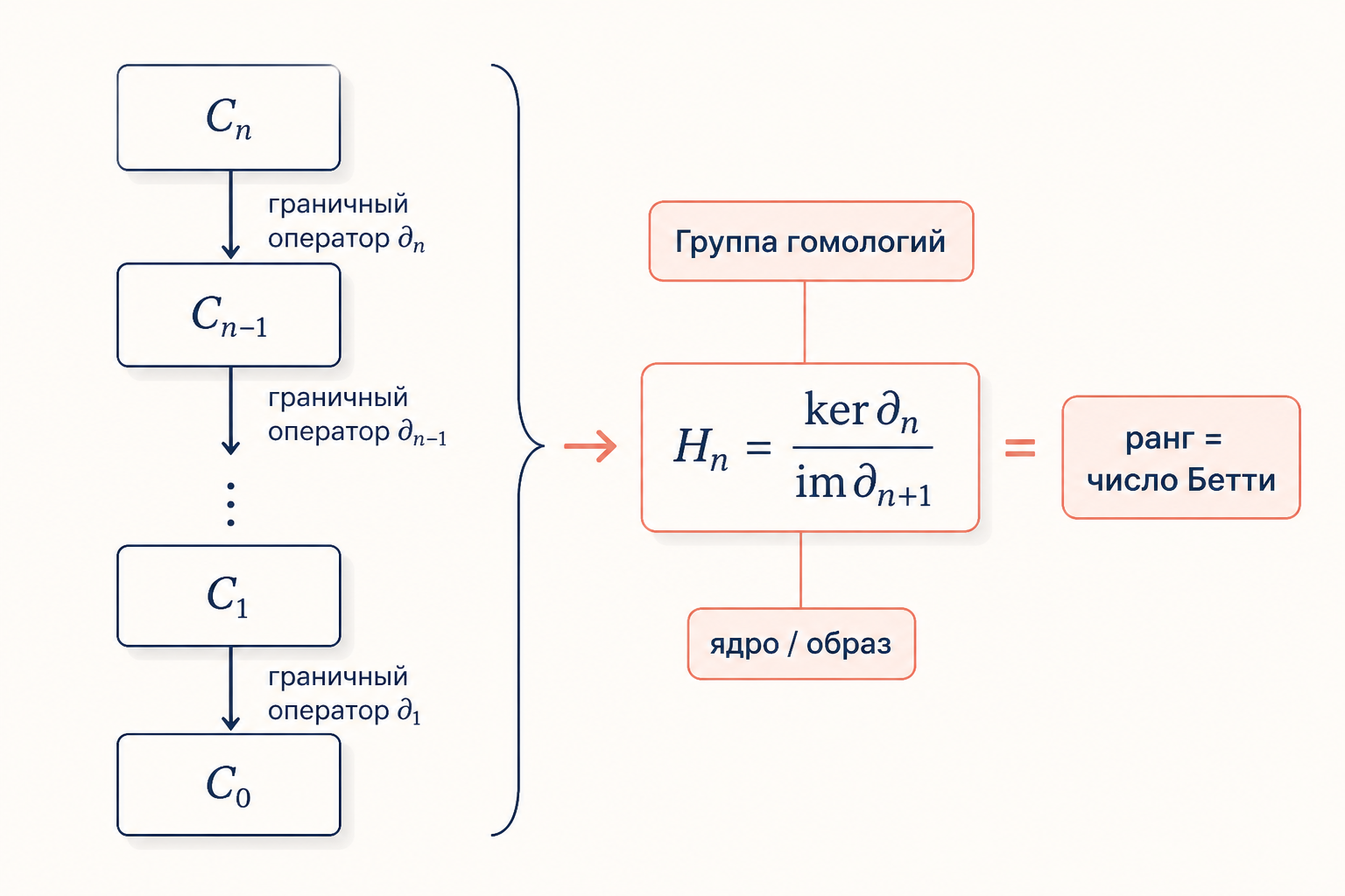 Цепной комплекс с граничными операторами и формула n-й группы гомологий как факторгруппы ядра по образу, ранг которой равен числу Бетти
