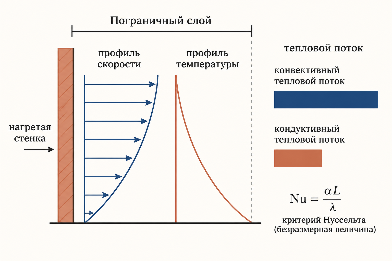Схема пограничного слоя у нагретой стенки: профиль скорости, профиль температуры и определение числа Нуссельта как отношения конвективного и кондуктивного потоков