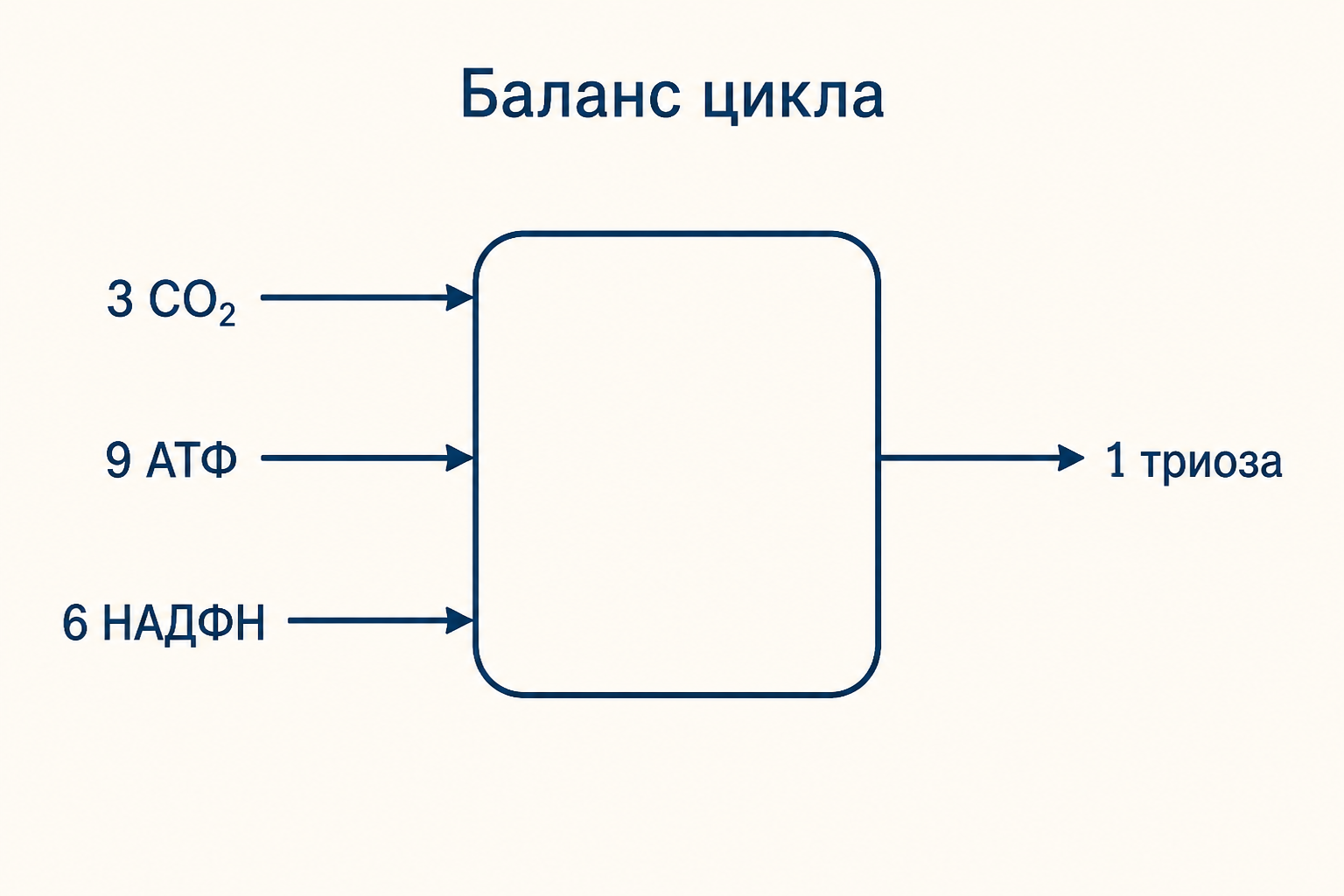 Схема баланса цикла Кальвина: на входе 3 CO2, 9 АТФ и 6 НАДФН, на выходе одна триоза