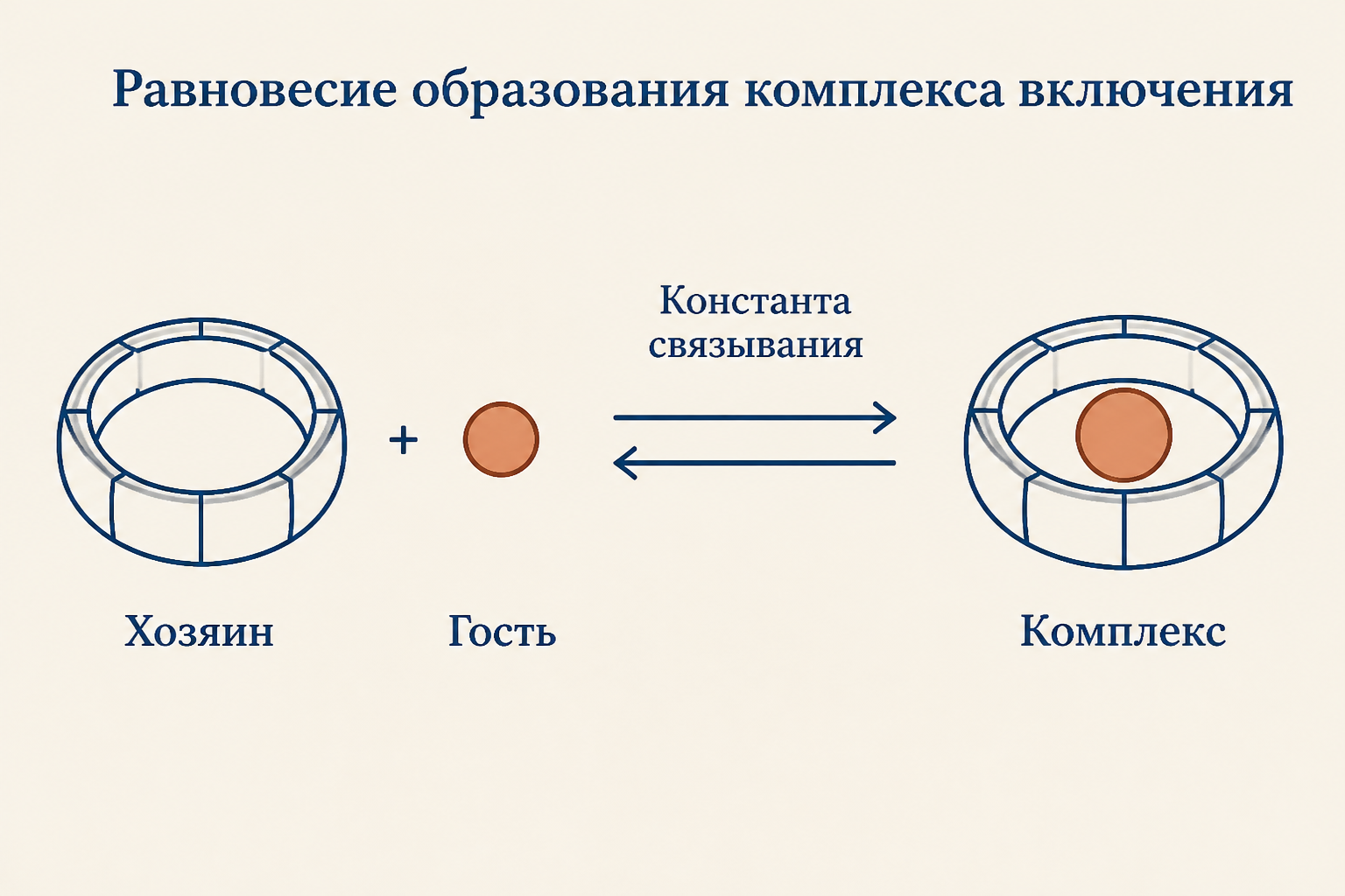 Равновесие образования комплекса включения и константа связывания