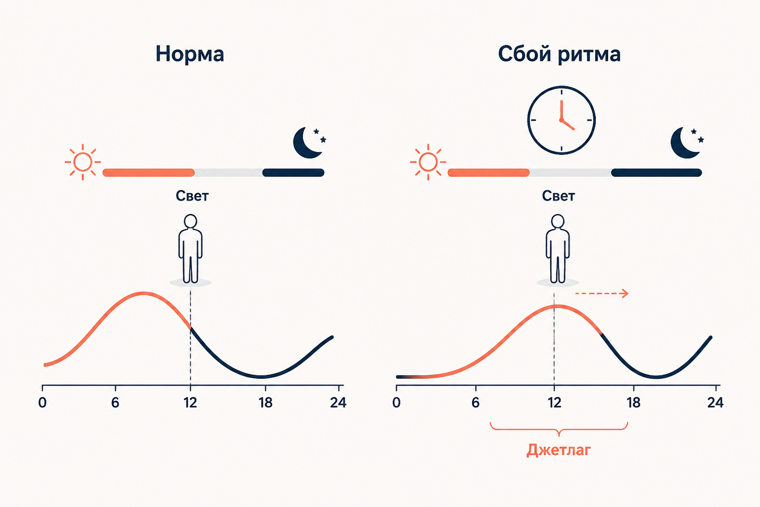 Слева норма: суточная волна выровнена со светом. Справа сбой ритма: волна сдвинута относительно времени, возникает джетлаг.
