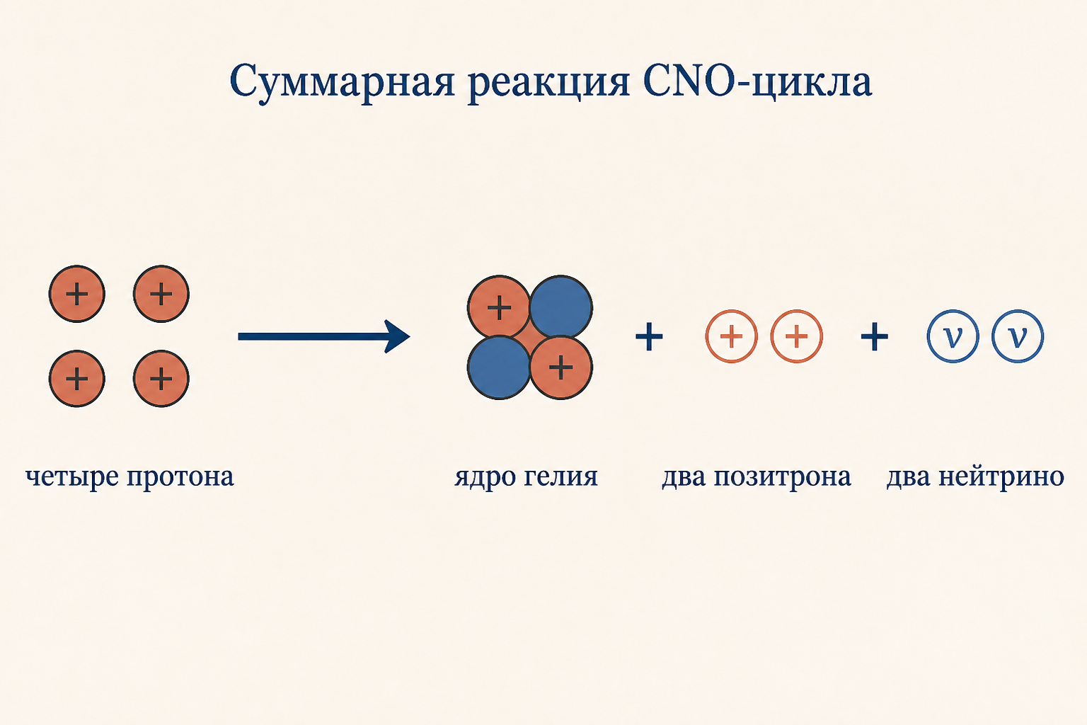 Суммарная реакция CNO-цикла: четыре протона входят, на выходе ядро гелия, два позитрона и два нейтрино
