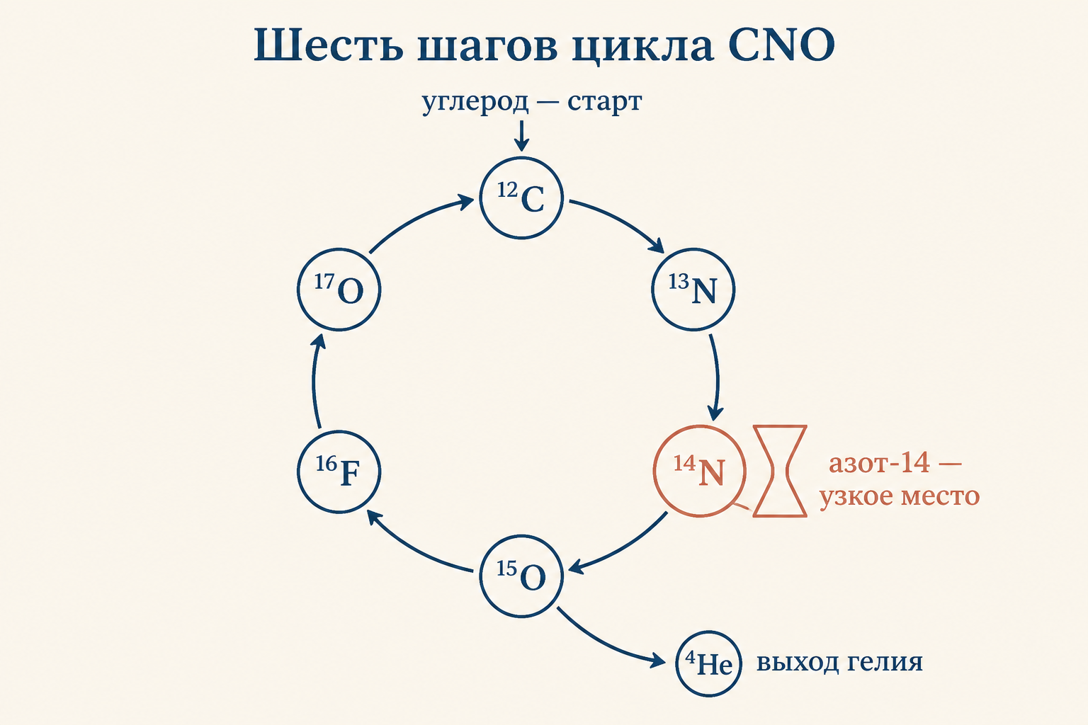 Шесть шагов цикла CNO по кругу: углерод как точка старта, азот-14 как узкое место, выход гелия