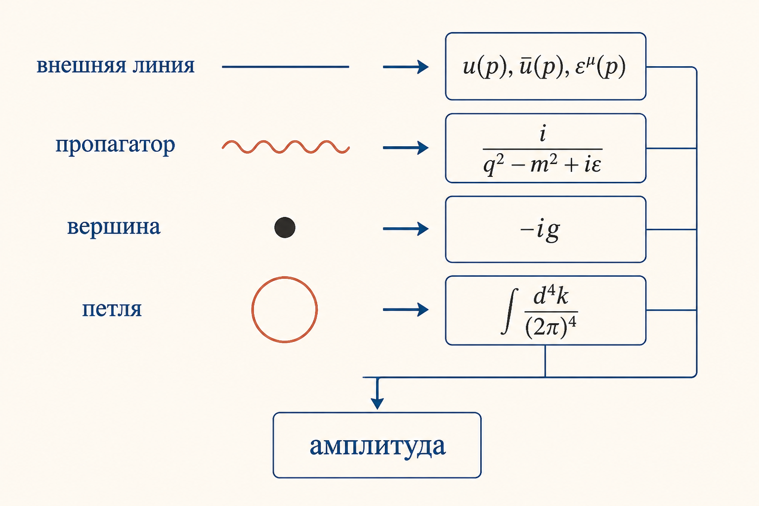 Сопоставление элементов диаграммы и множителей амплитуды: внешняя линия, пропагатор, вершина, петля и итоговая амплитуда