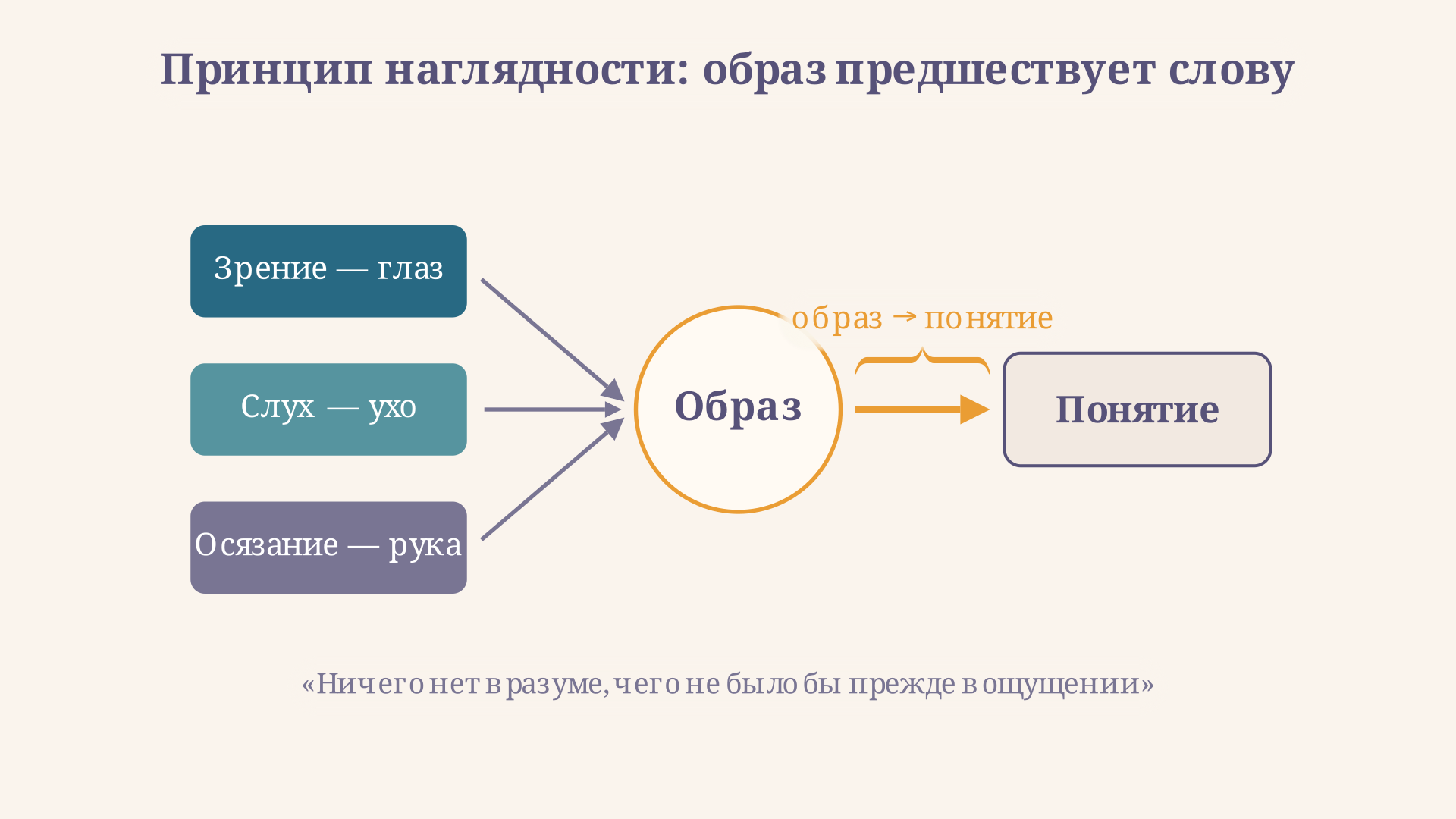 Принцип наглядности Коменского: знание входит через органы чувств - зрение, слух, осязание - и образ предшествует слову