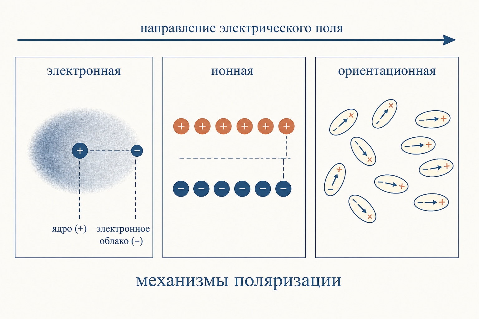 Три механизма поляризации диэлектрика: электронная (смещение электронного облака), ионная (сдвиг подрешёток ионов) и ориентационная (разворот полярных молекул вдоль поля)