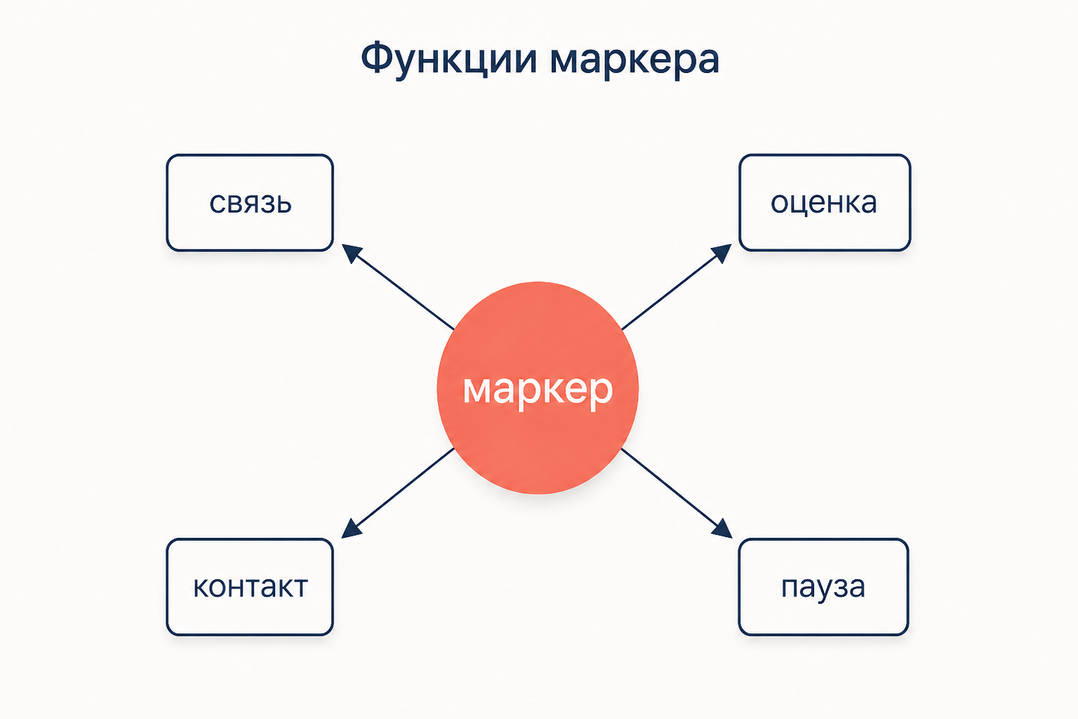 Схема функций: от центрального узла маркер расходятся четыре ветви к подписям связь, оценка, контакт, пауза