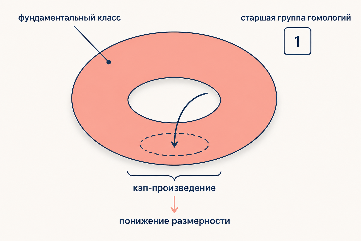 Фундаментальный класс многообразия как образующая старшей группы гомологий и его роль в cap-произведении