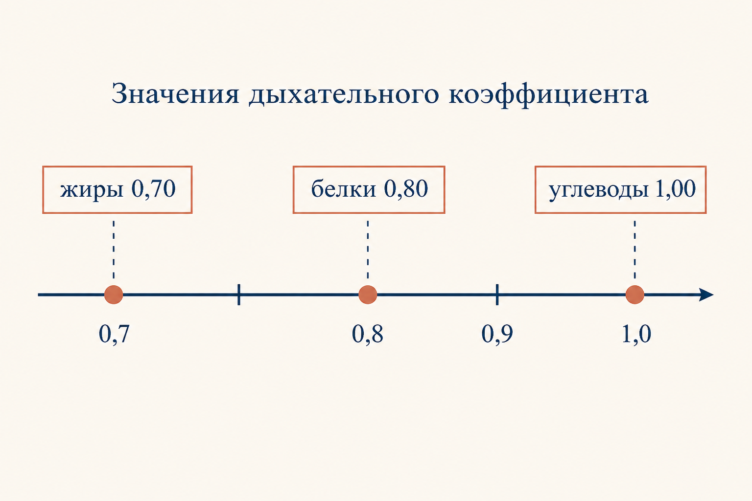 Шкала значений дыхательного коэффициента: жиры около 0,70, белки около 0,80, углеводы 1,00, промежуточные значения отражают смешанное питание