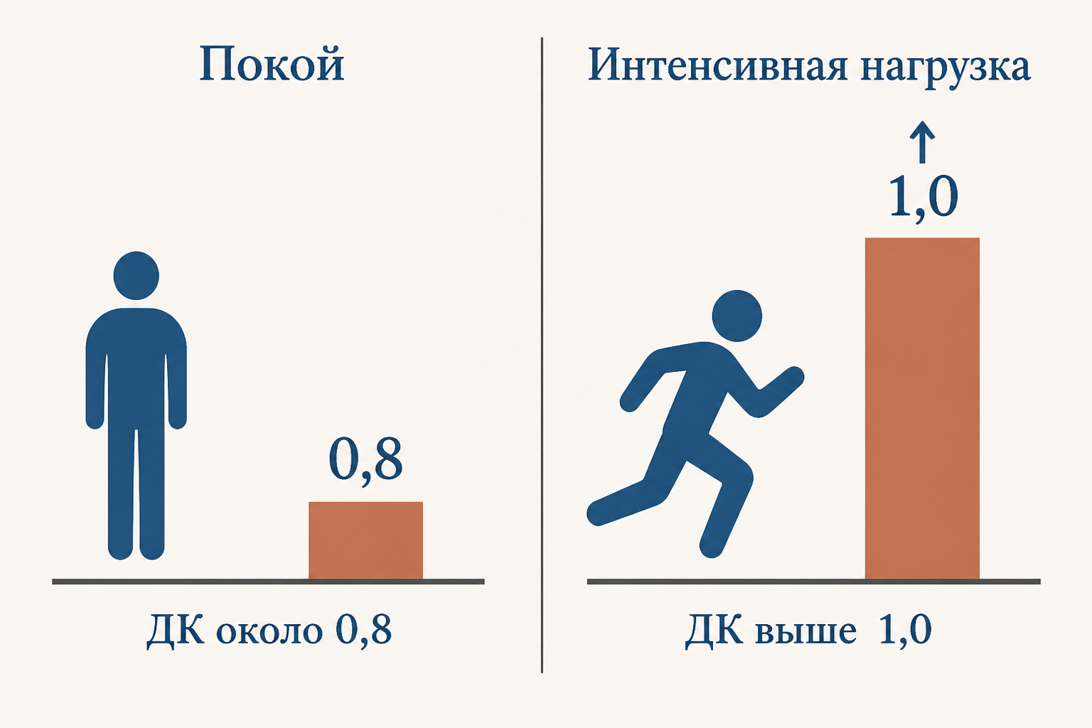 Сравнение дыхательного коэффициента в покое и при интенсивной нагрузке: в покое около 0,8, при тяжёлой работе значение поднимается выше 1,0