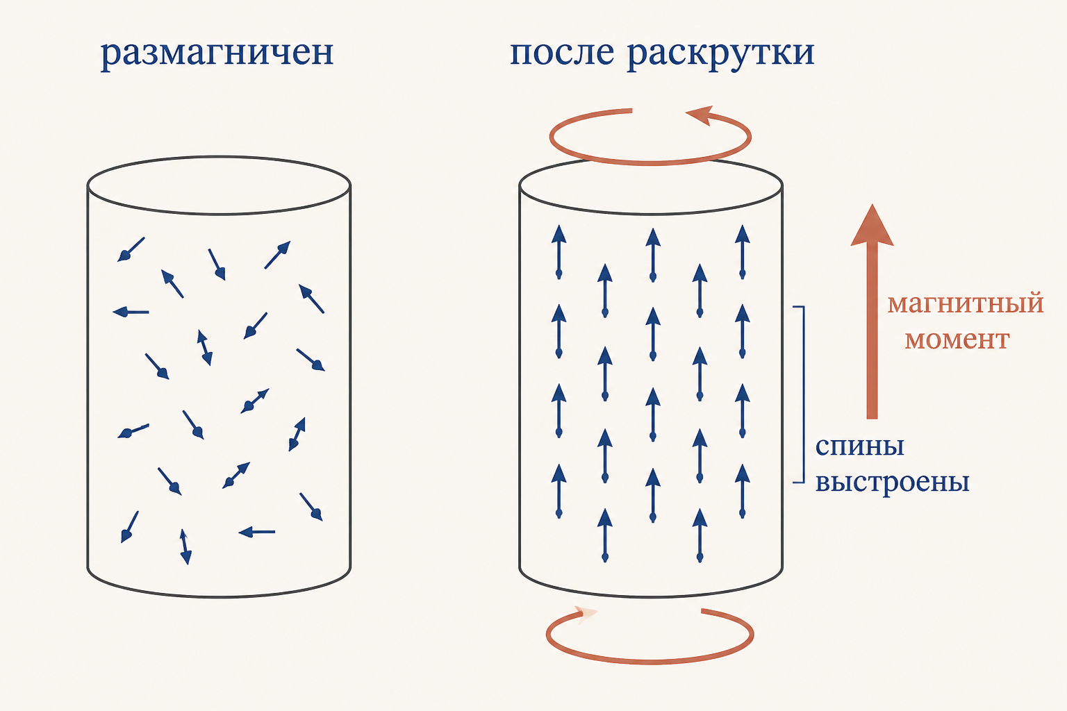 Схема эффекта Барнетта: размагниченный цилиндр слева и тот же цилиндр после раскрутки с выстроенными спинами и появившимся магнитным моментом справа