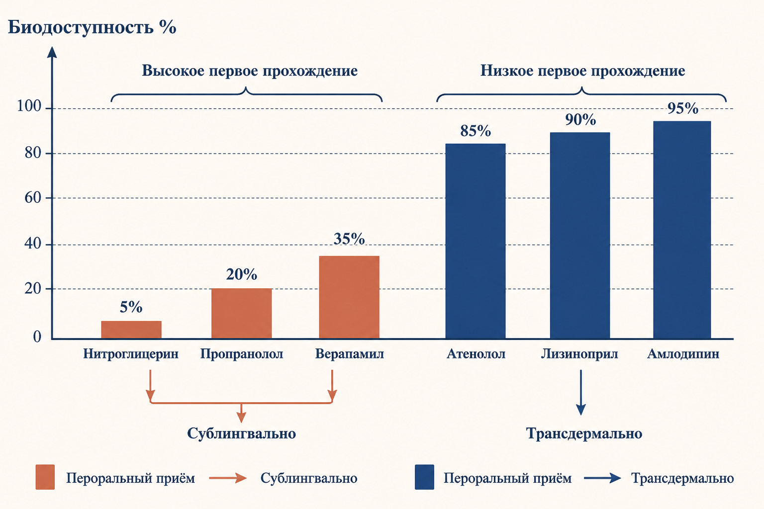 Сравнение биодоступности препаратов с высоким и низким эффектом первого прохождения при разных путях введения