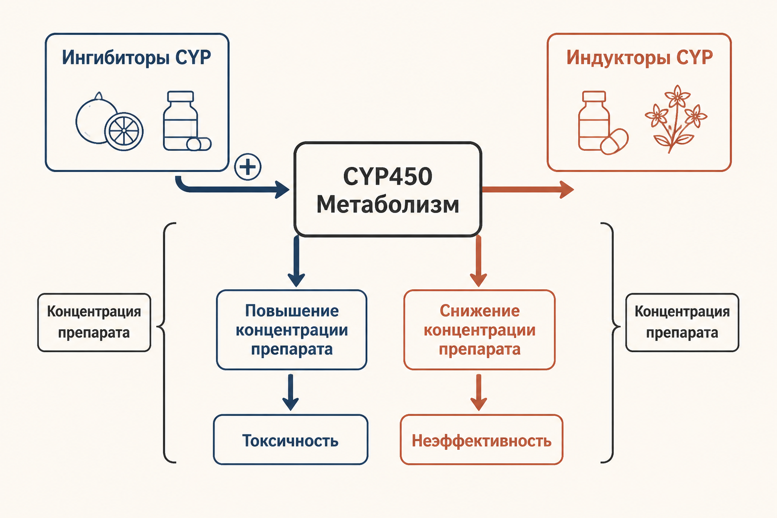 Схема взаимодействия ингибиторов и индукторов CYP450 с метаболизмом препарата при первом прохождении