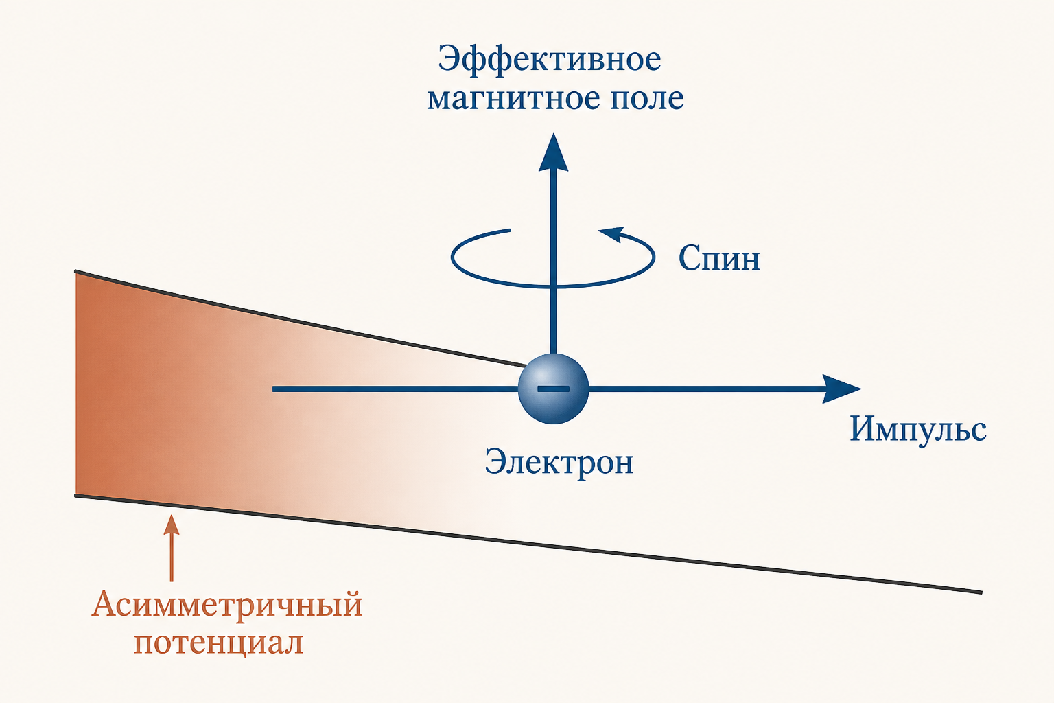 Электрон движется в асимметричном потенциале и в своей системе отсчёта видит эффективное магнитное поле, перпендикулярное импульсу, которое разворачивает спин
