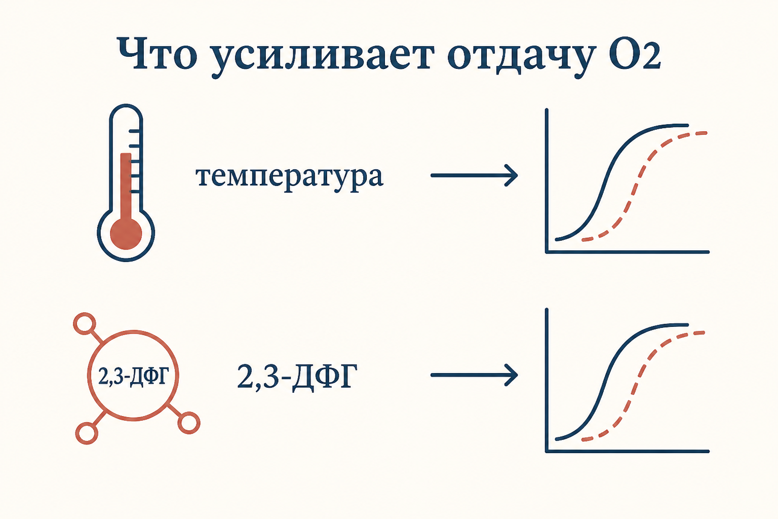 Эффект Вериго-Бора на кривой диссоциации оксигемоглобина: рост CO2 и снижение pH смещают S-образную кривую вправо, насыщение при том же давлении падает