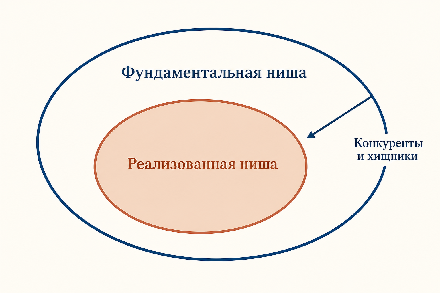 Фундаментальная ниша как полный потенциал вида и вложенная в неё реализованная ниша, которую сужают конкуренты и хищники
