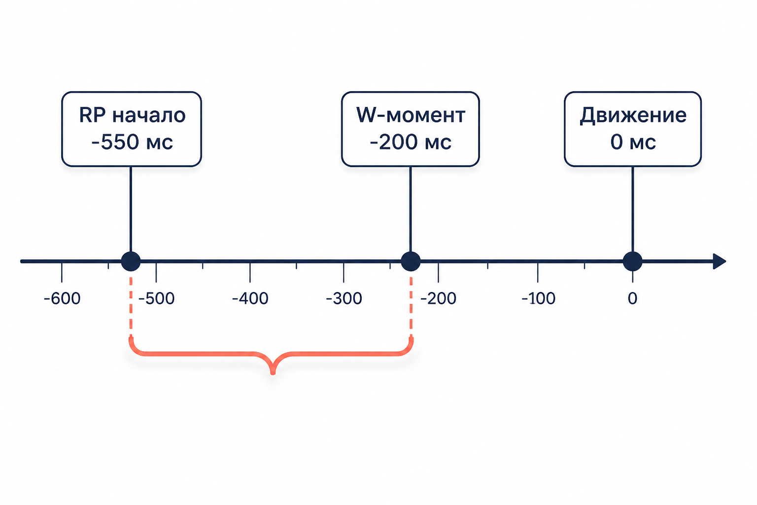 Схема временной шкалы: RP, W-момент и движение