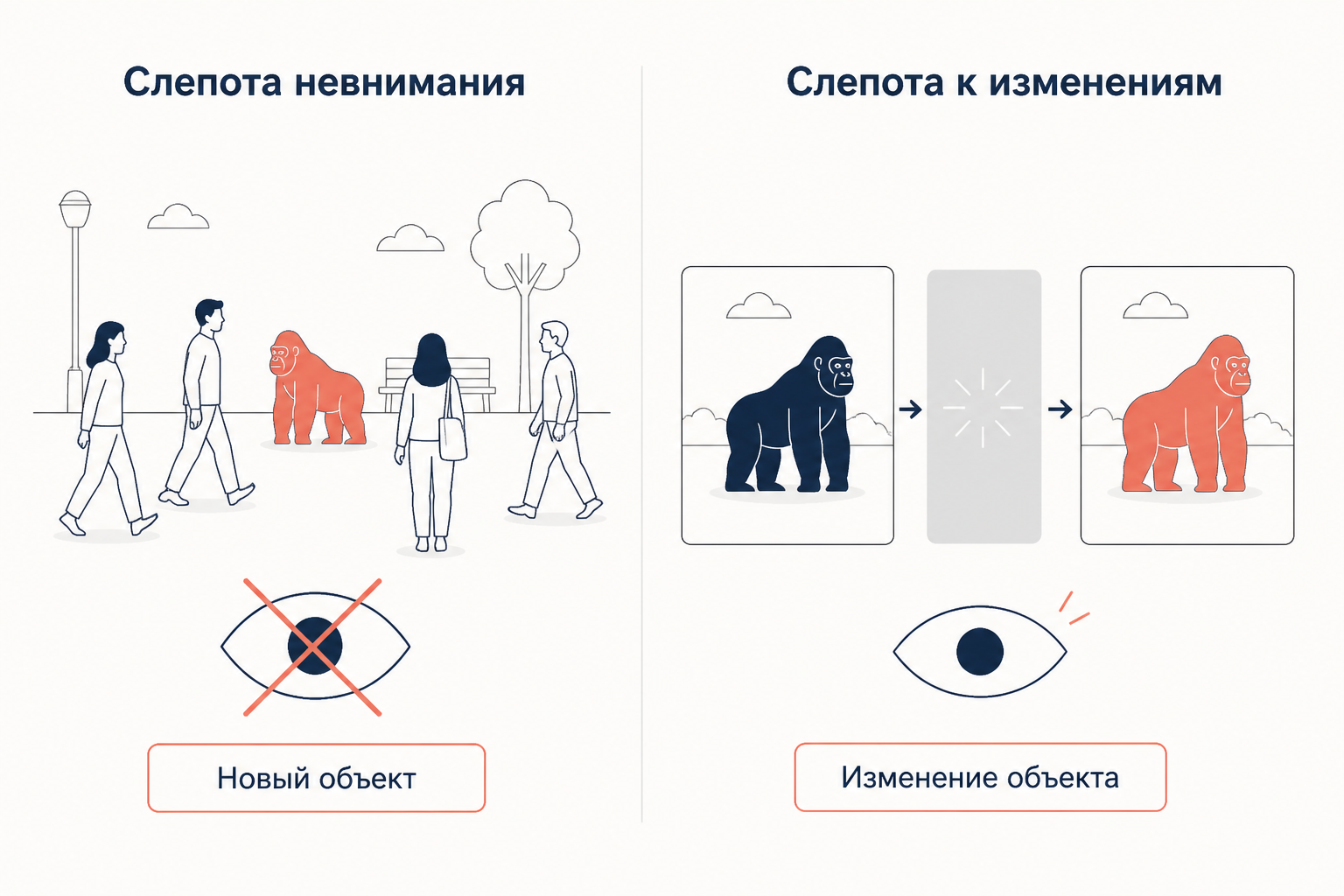 Сравнение слепоты невнимания и слепоты к изменениям: стрелки показывают разные механизмы пропуска информации
