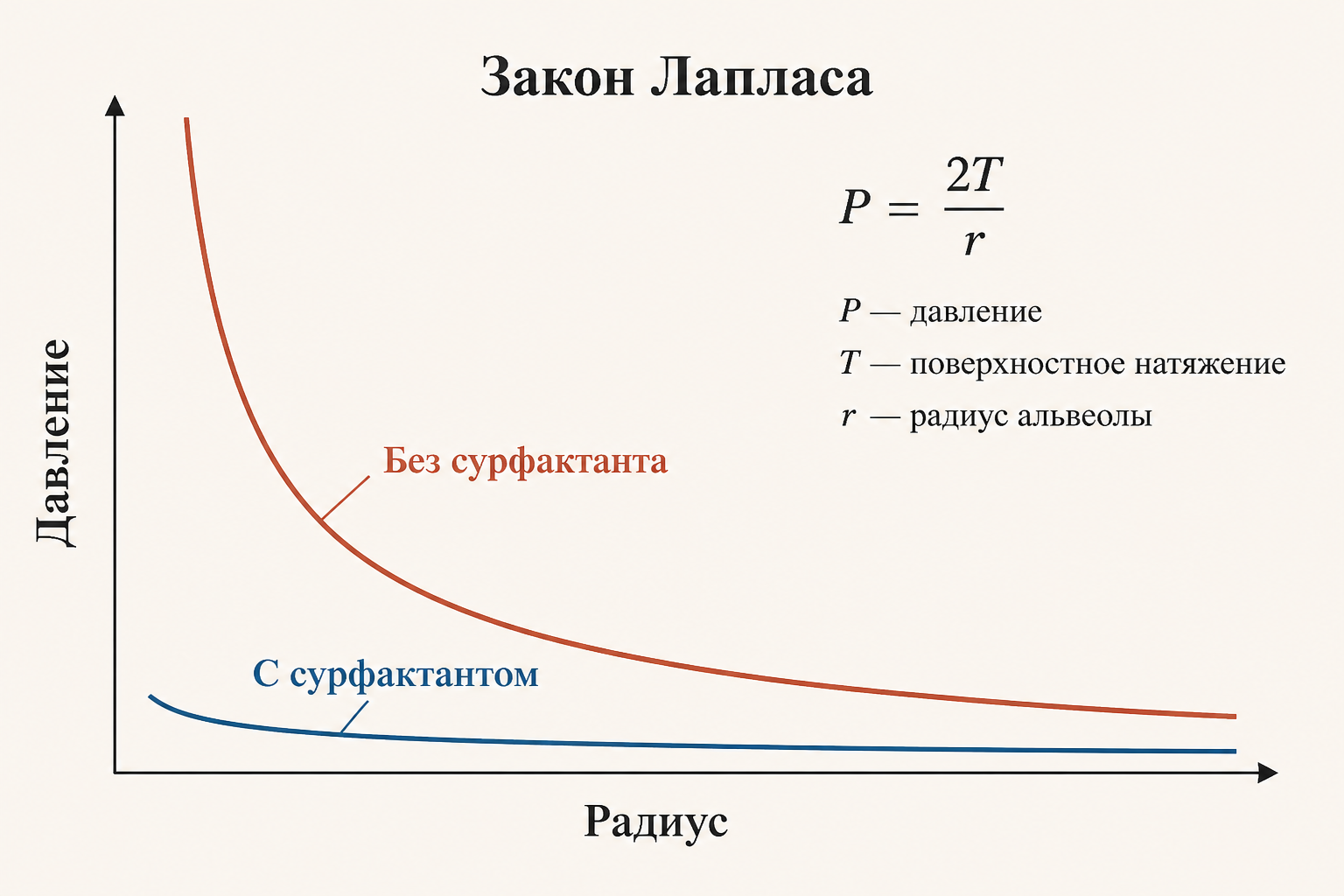 Закон Лапласа: давление в альвеолах разного размера при одинаковом натяжении