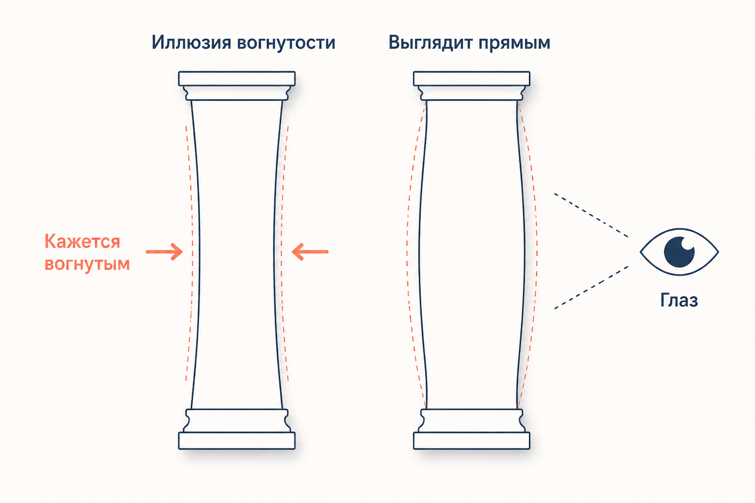 Прямой сужающийся ствол кажется глазу вогнутым посередине, а лёгкое утолщение возвращает контуру ровный упругий вид