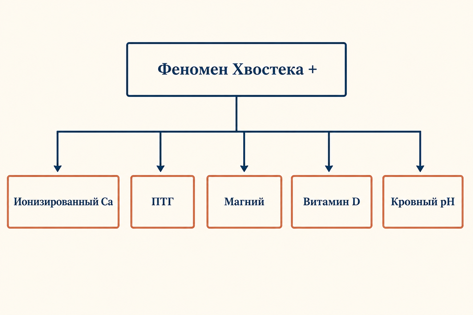 Диагностический алгоритм при положительном феномене Хвостека: ионизированный кальций, ПТГ, магний, витамин D