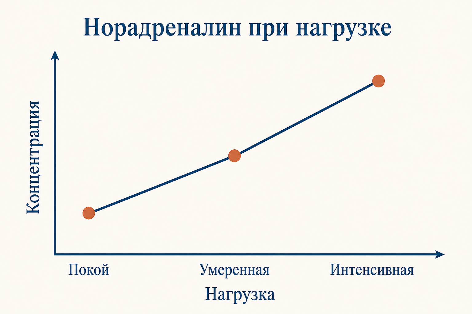Уровни норадреналина в мышце при нарастающей нагрузке