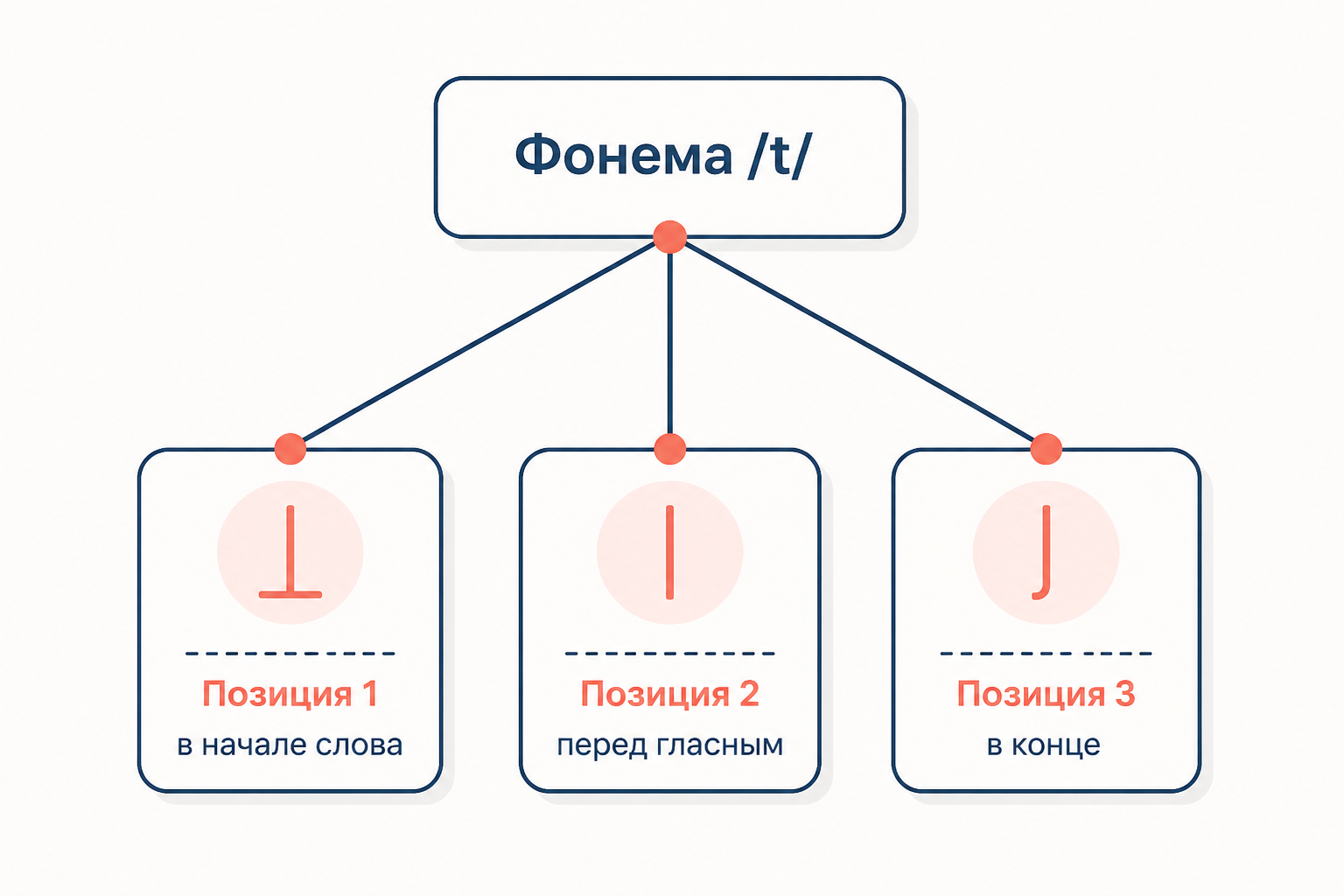 Дерево аллофонов фонемы /t/: три позиции дают разные звуковые варианты одной единицы