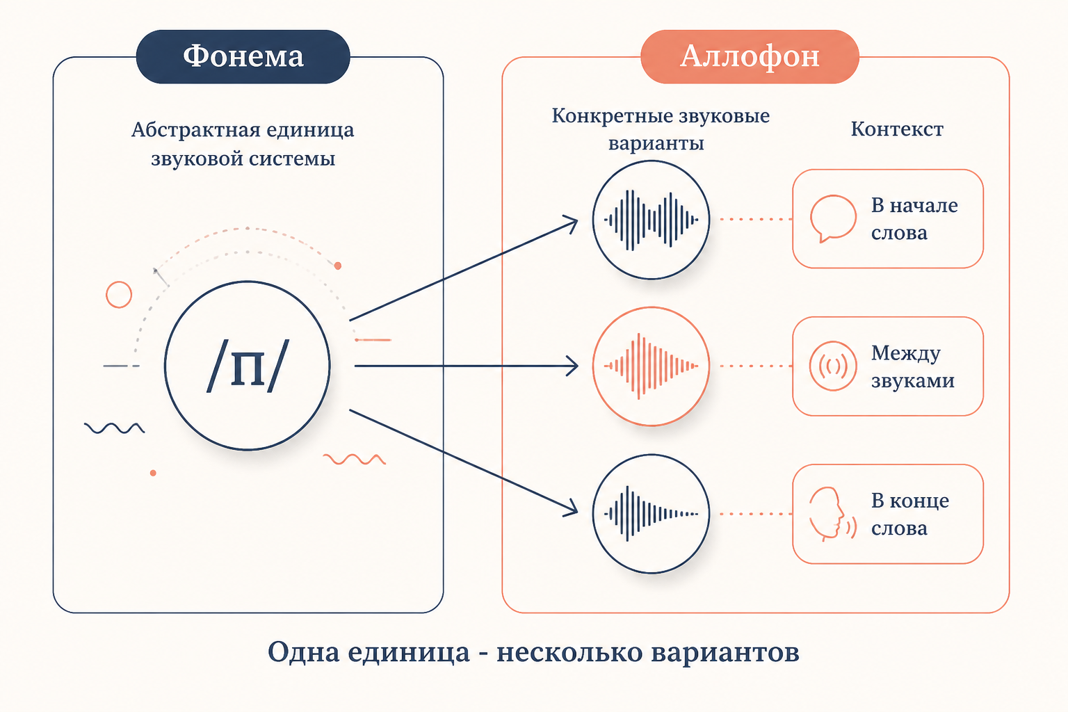 Схема: фонема /п/ и её аллофоны в зависимости от позиции и окружающих звуков