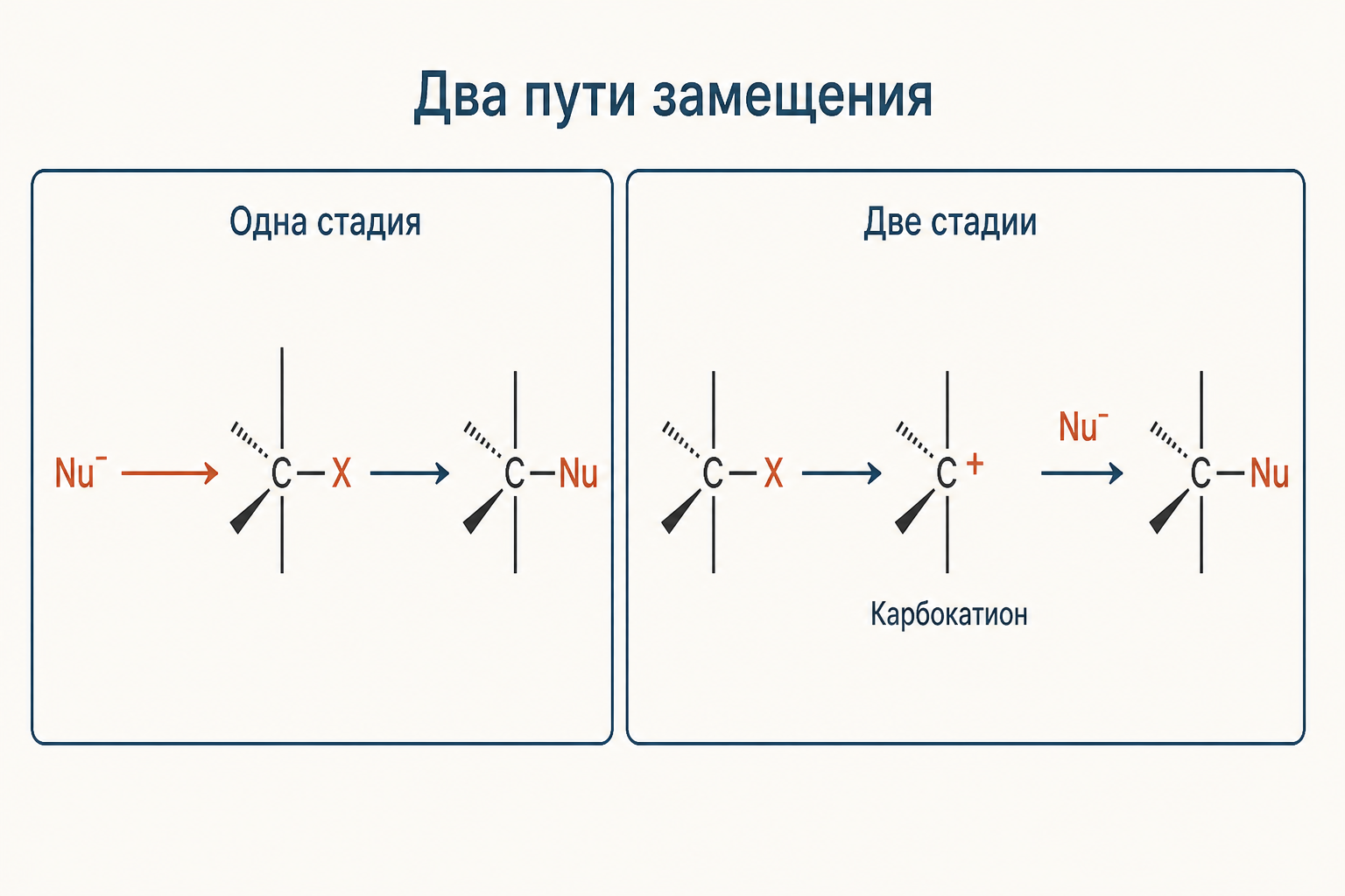 Сравнение двух путей нуклеофильного замещения: одностадийная атака с тыла против двухстадийного пути через карбокатион